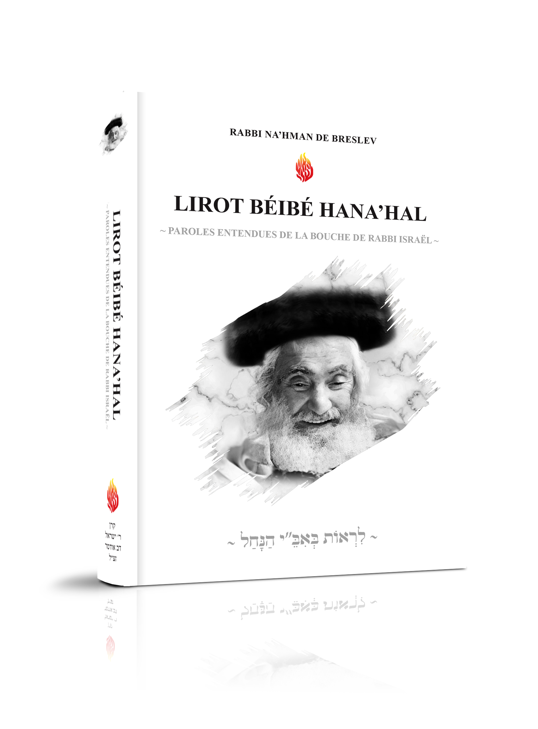 LIROT BÉIBÉ HANA’HAL – Histoires vécus auprès de Rabbi Israël Dov Odesser ~ לִרְאוֹת בְּאִבֵּ״י הַנָּחַל ~