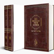 ALIM LITROUFA – Des feuilles pour guérir ~ עָלִים לִתְרוּפָה ~