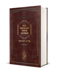 ALIM LITROUFA – Des feuilles pour guérir ~ עָלִים לִתְרוּפָה ~